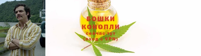 jwh Осинники