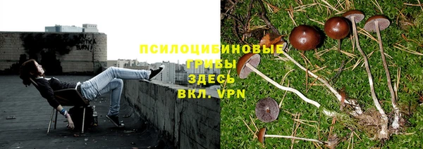 кокс Осташков
