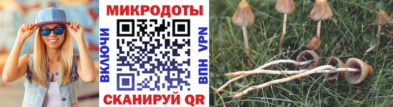 Псилоцибиновые грибы прущие грибы  площадка официальный сайт  Суоярви  наркота 